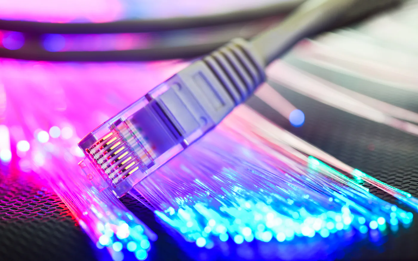 wifi cố định